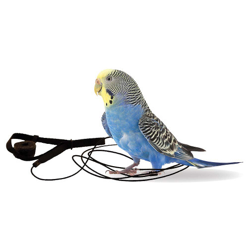 Original Aviator Mini Parrot Harness Parrot Essentials