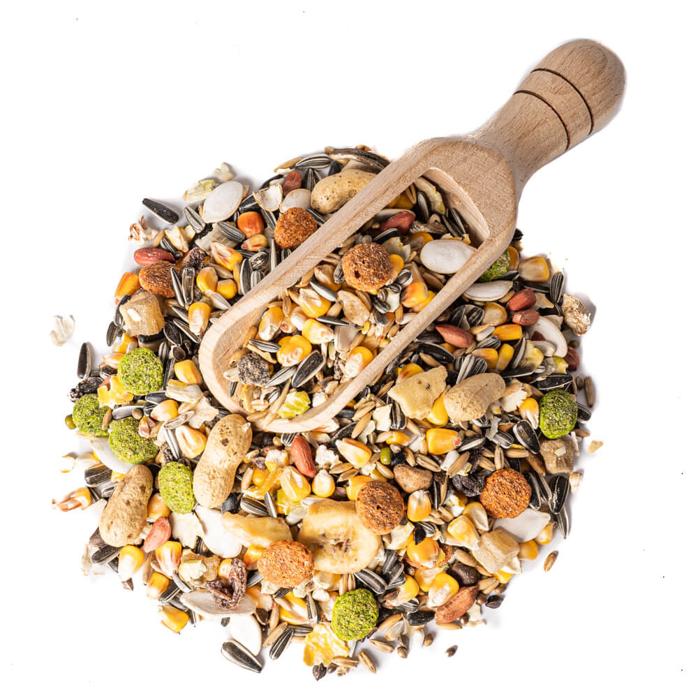 Bucktons Elite Parrot Food Seed Mix Diet - 1.5kg