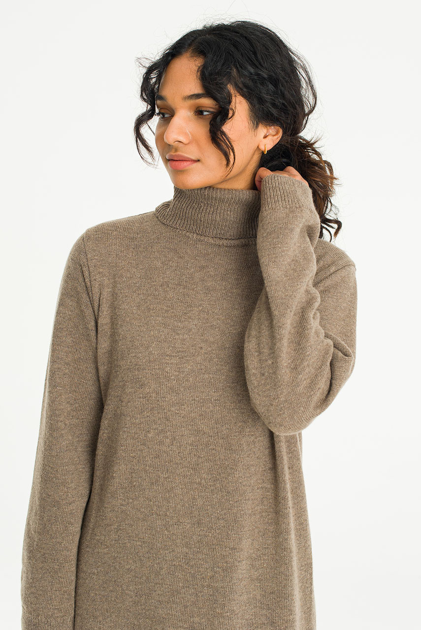 Mio Roll Neck Knit Dress, Brown
