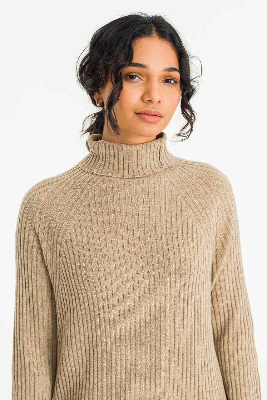 Mia Ribbed Roll Neck Dress, Mocha