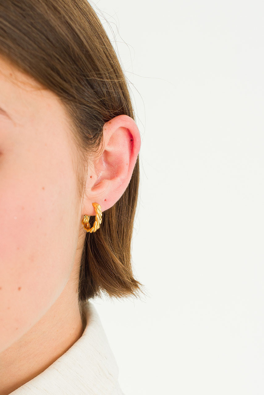 Terra Plait Hoop Earrings, Gold