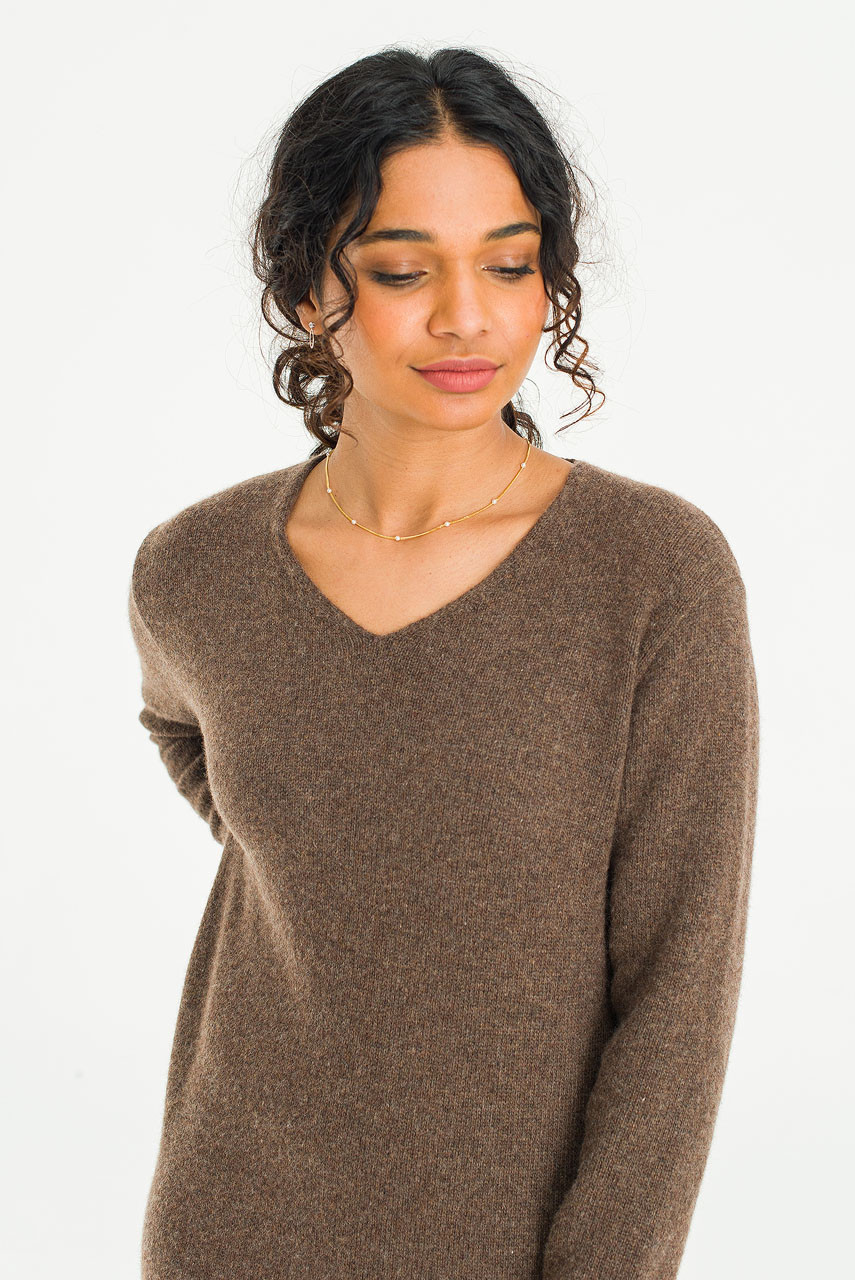 Jena V Neck Knit Dress, Brown