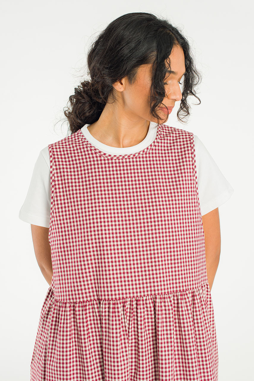 Two Way Faye Ribbon Back Dress, Wine Gingham