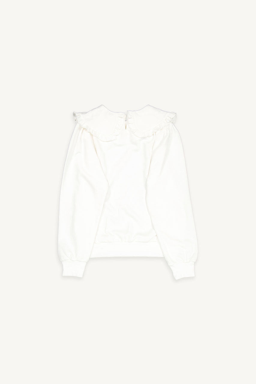 Wild Daisy Embroidered Sweatshirt, Ivory