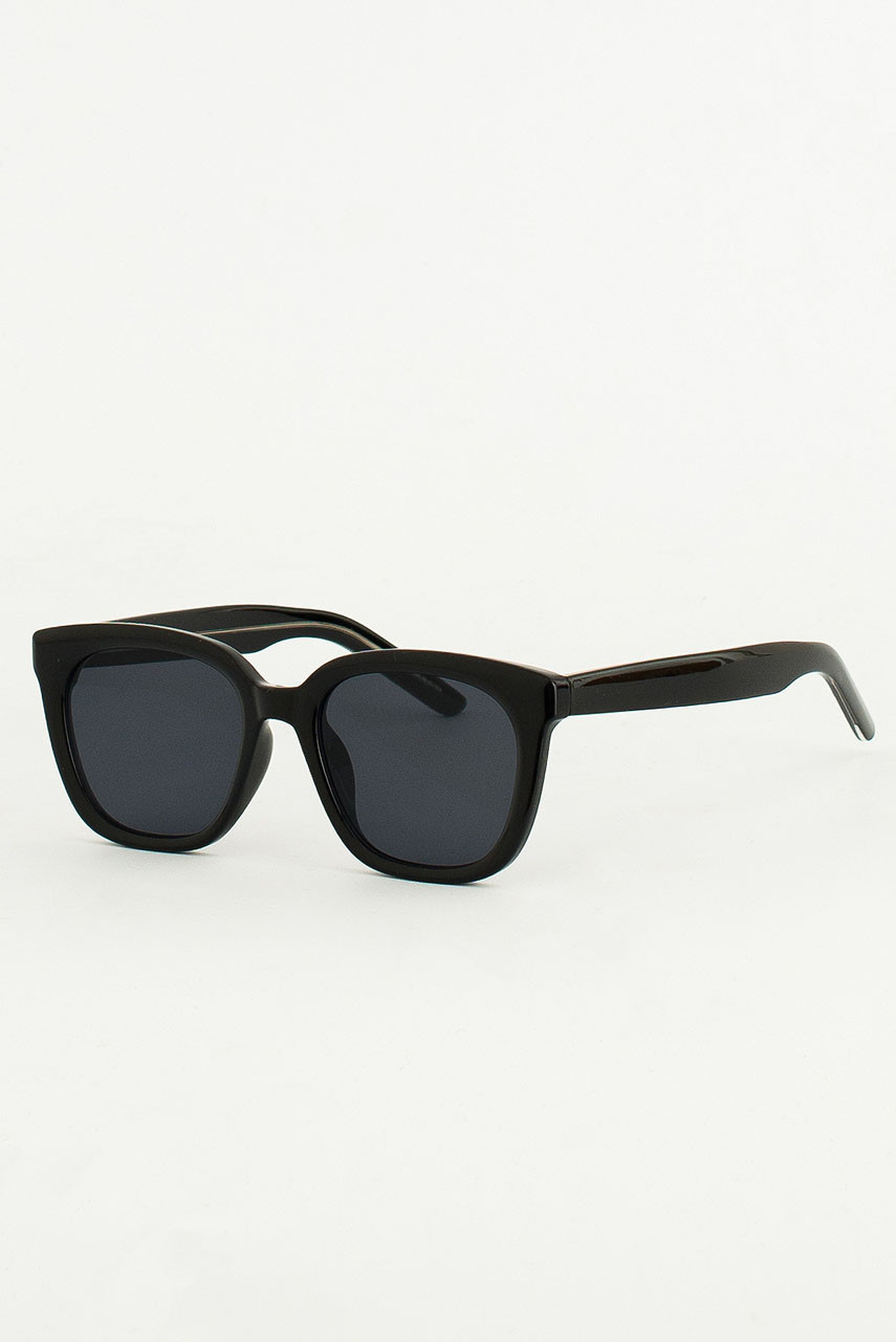 Paran Sunglasses, Black