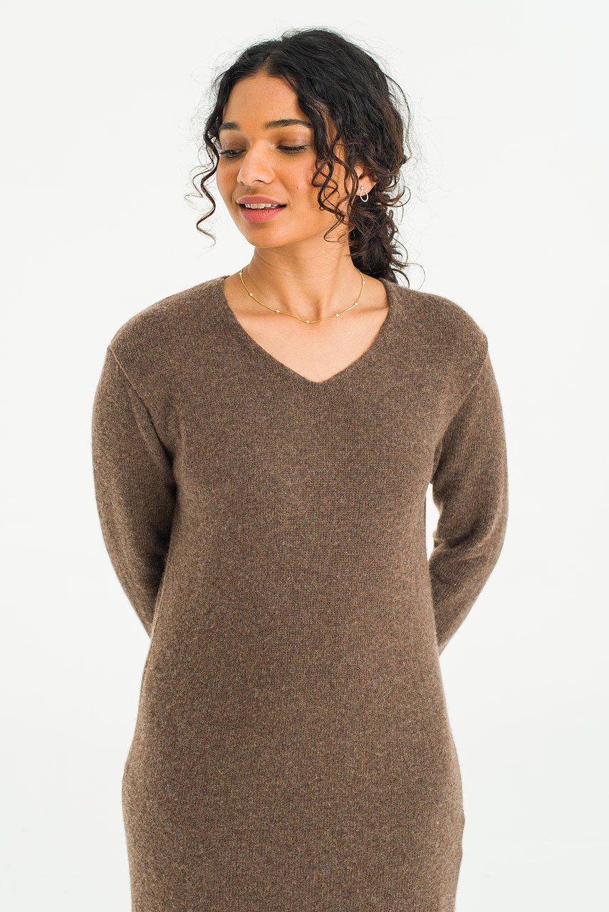 Jena V Neck Knit Dress, Brown