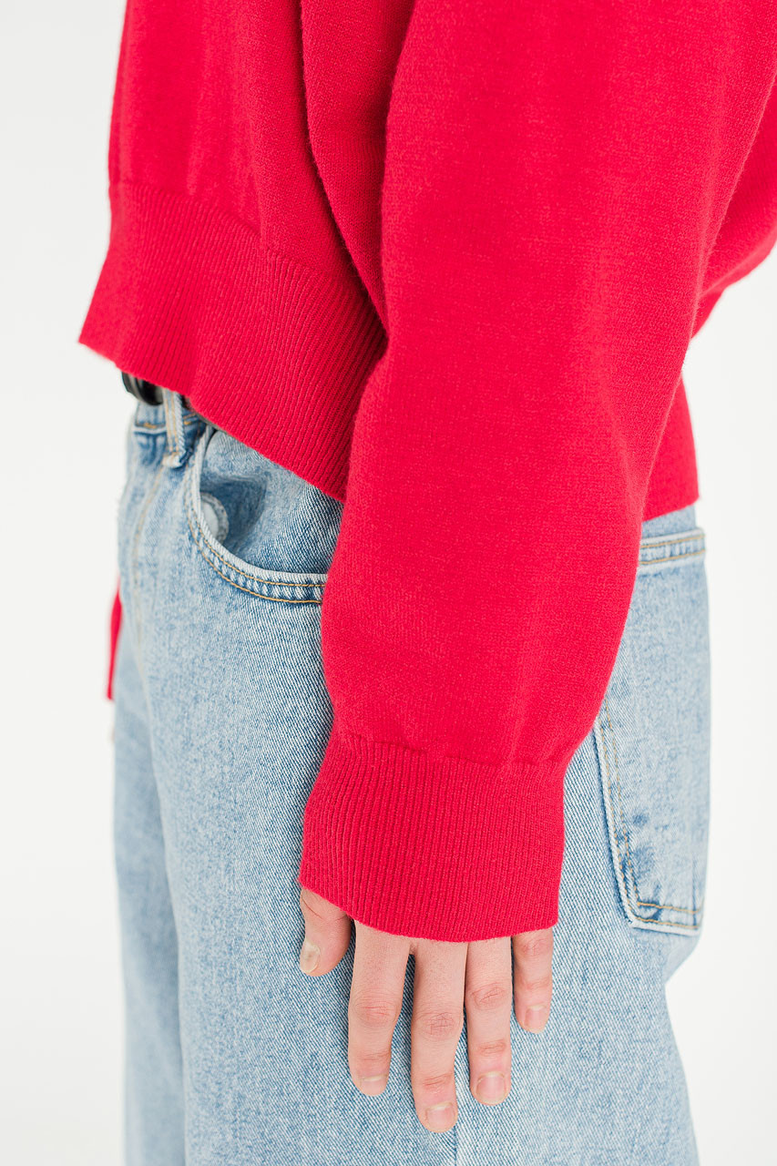 Menswear | Mini V-Neck, Red