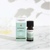 Peppermint (Organic) Essential Oil