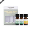 Your Feel Good Essentials (Peppermint, Rosemary & Lemon)