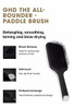 The All Rounder - Paddle Brush