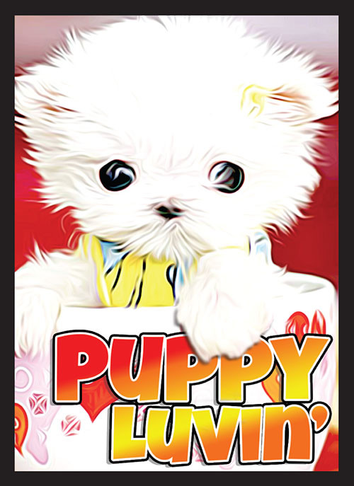 cute mtg card sleeves Adorable Purrely Family Holographic Card Sleeves main image 0
