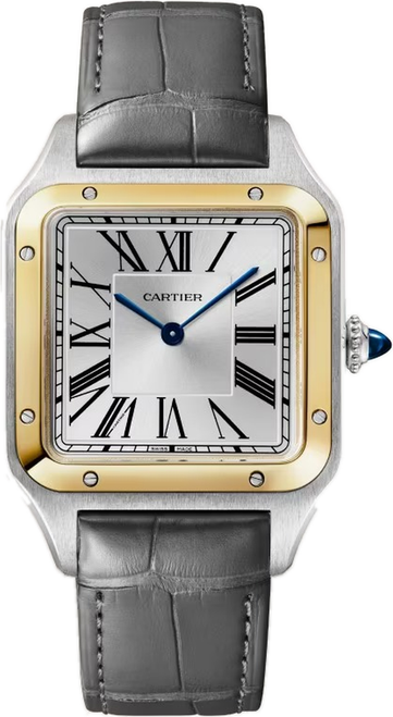 cartier/W2SA0046.png