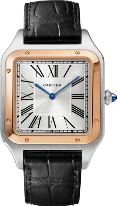 cartier/W2SA0017.png