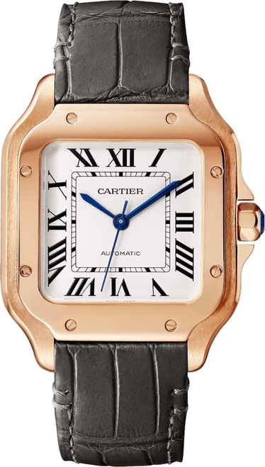 cartier/WGSA0028.png