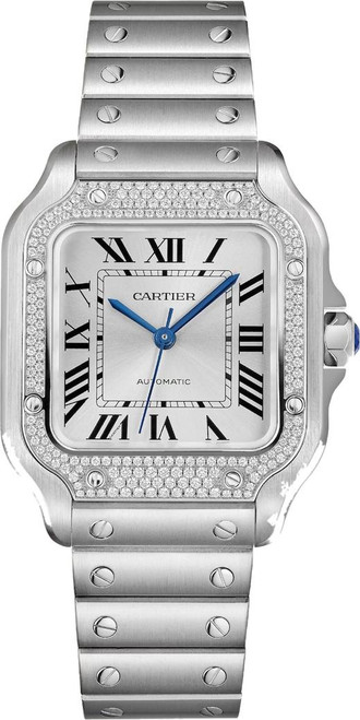 cartier/W4SA0005.png