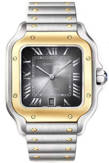 Cartier Santos Large W2SA0030 Cartier Santos Large W2SA0030