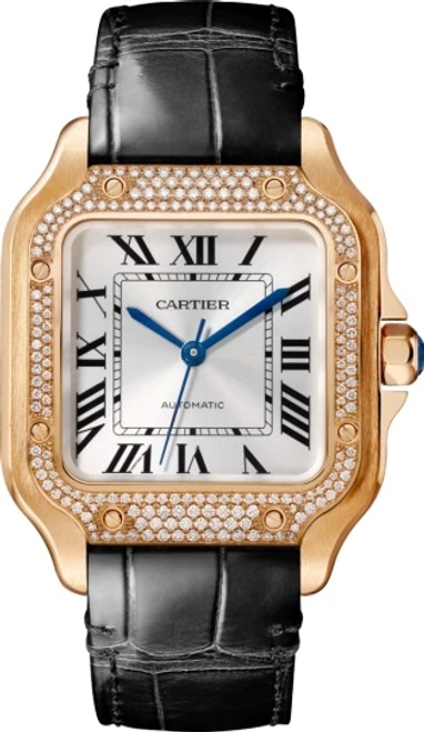 Cartier Santos Medium WJSA0012