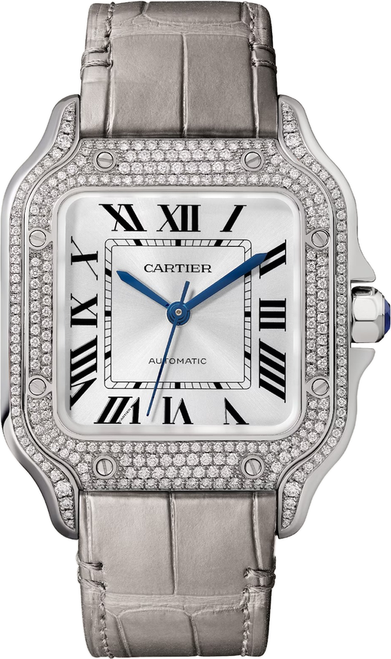cartier/WJSA0014.png