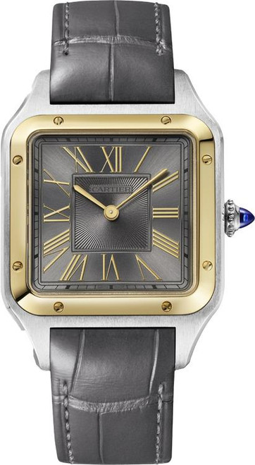 Cartier Santos-Dumont Large W2SA0036 Cartier Santos-Dumont Large W2SA0036