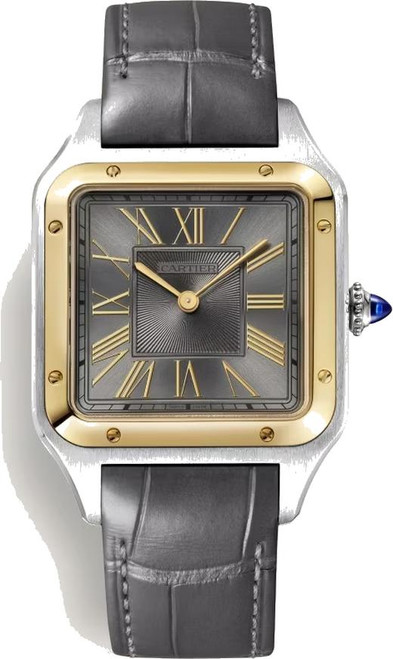 Cartier Santos-Dumont Large W2SA0036
