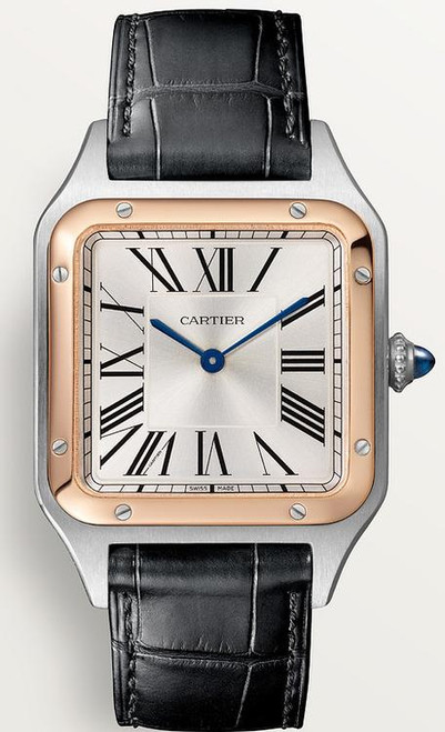 Cartier Santos Dumont Large W2SA0037 Cartier Santos Dumont Large W2SA0037