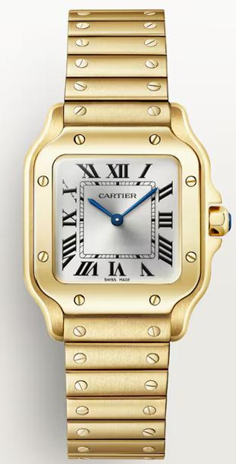 Cartier Santos WGSA0107 Cartier Santos WGSA0107
