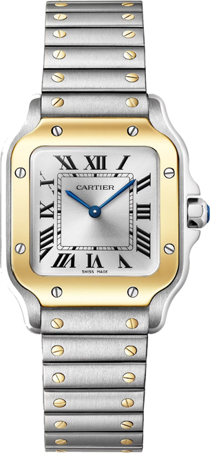 cartier/W2SA0033.png