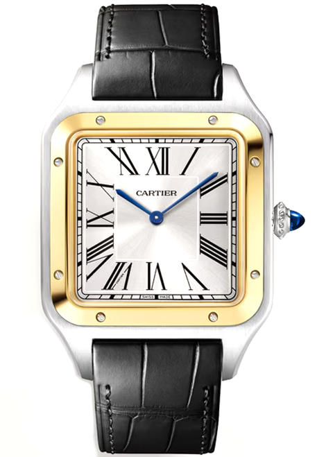 Cartier Santos Dumont XL W2SA0034 Cartier Santos Dumont XL W2SA0034