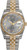 Rolex New Style Datejust Two Tone Silver Sunbeam Roman Dial 116233