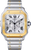 cartier/W2SA0008.png