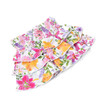 Cute Swimwear by Shade Critters Summer Gardens Girls Smocked Ruffle Active Skirt 3-14