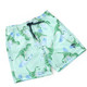 Detail of Surfin Dino Mint Boys 4 Way Stretch Swim Trunks 6m-10