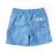 Detail of Shade Critters Shadey Dinos Boys 4 Way Stretch Water Appearing Embroidered Swim Trunks 6m-10