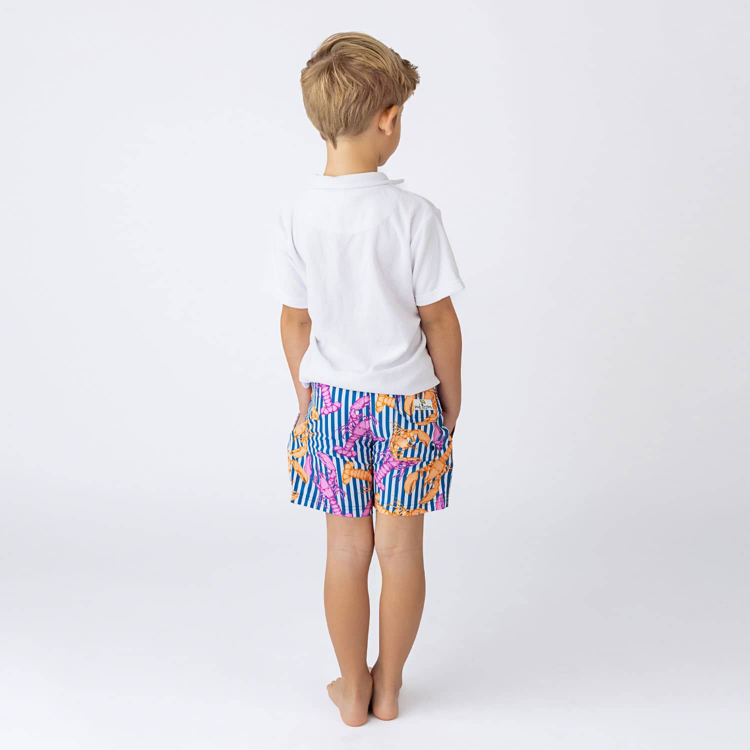 Lobster Stripe Boys 4 Way Stretch Swim Trunks 6m-10 - Shade