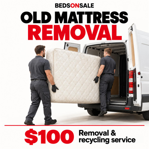 Old mattress removal and recycling service for $100, with two workers loading a mattress into a collection van