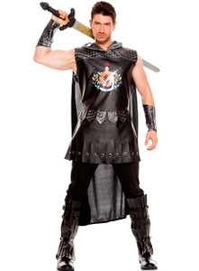 Medieval Warrior King Medieval Warrior King