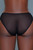 Low Rise Embroidered Mesh Bikini Panty