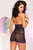 Lace & Satin Plunging Halter Ribbon Bow Chemise