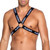 Playboy Men's Dark Room Harness