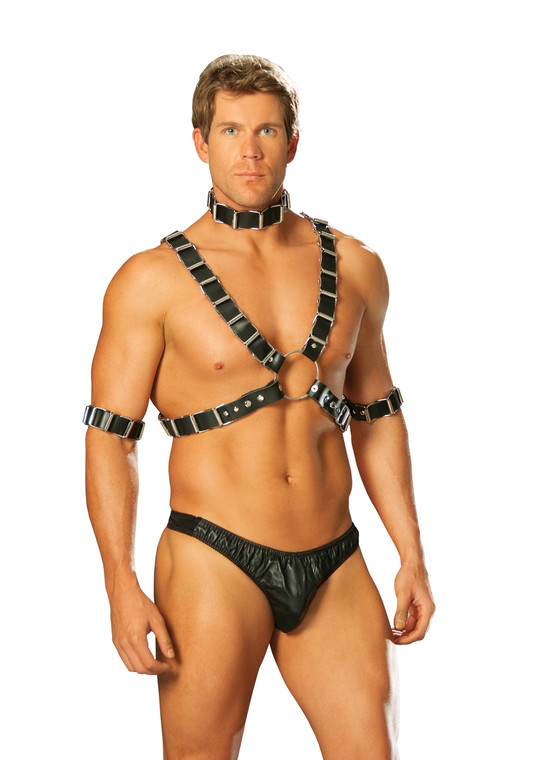 Leather Harness