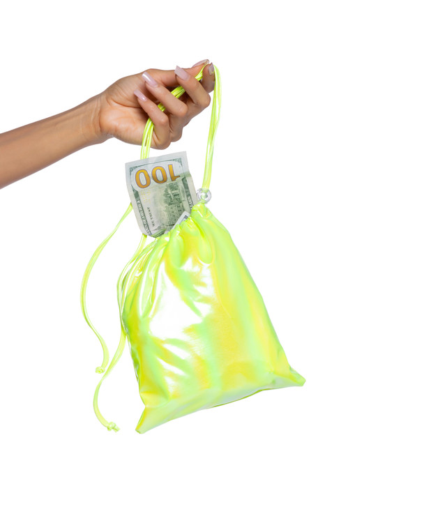 Metallic Iridescent Money Bag