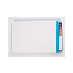 AVERY LATERAL FILES WITH MYLAR REINFORCED TABS Foolscap Light Blue Clear Mylar, Bx100