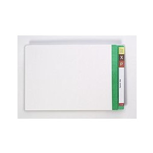 AVERY LATERAL FILES WITH MYLAR REINFORCED TABS Foolscap Light Green Clear Mylar, Bx100 **