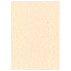 A4 CENTURIUN NERO PAPER NATURAL 175GSM