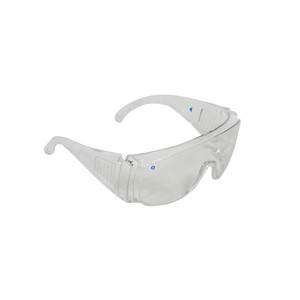 VISITORS SPECTACLES Clear