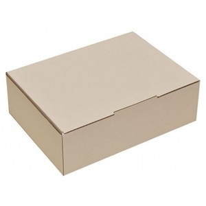 TRANSFER FILE BOX Homebrand Foolscap
24.5cmW x 80cmD x 37.5cmH