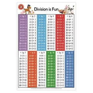 DIVISION IS FUN POSTER