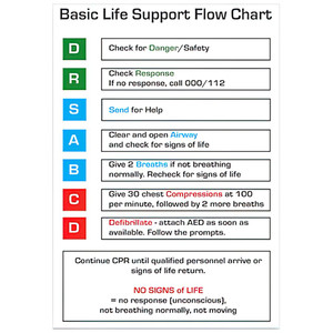 AEROGUIDE CPR Flow Chart Card 10 x 14cm, Each