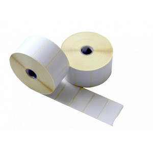 LABEL 100 x 50 TWS Box of 10 Rolls 1000 Labels per roll