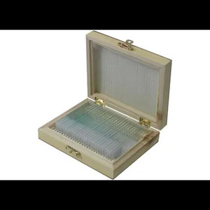 Slide Set - Biology Basic - Set of 25